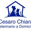 Cesaro Chiara - Veterinario a Domicilio